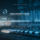 remixpapa study | Professional Insights & Analysis